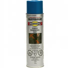 Paints & Brushes Paints & Brushes