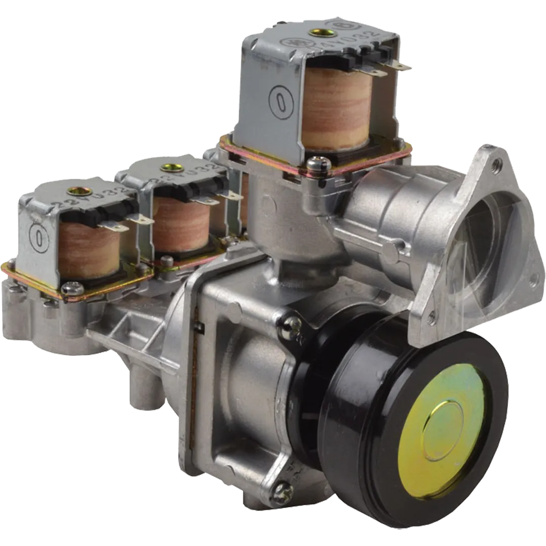 RHEEM RHEEM Gas Valves For Rheem Tankless Water Heaters RHEEM RHEEM Gas Valves For Rheem Tankless Water Heaters