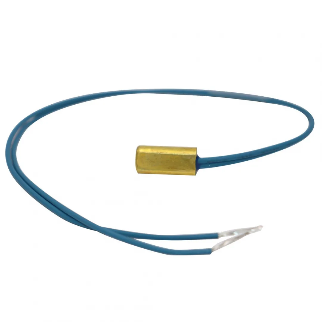 IBC IBC DHW Secondary Loop Sensor