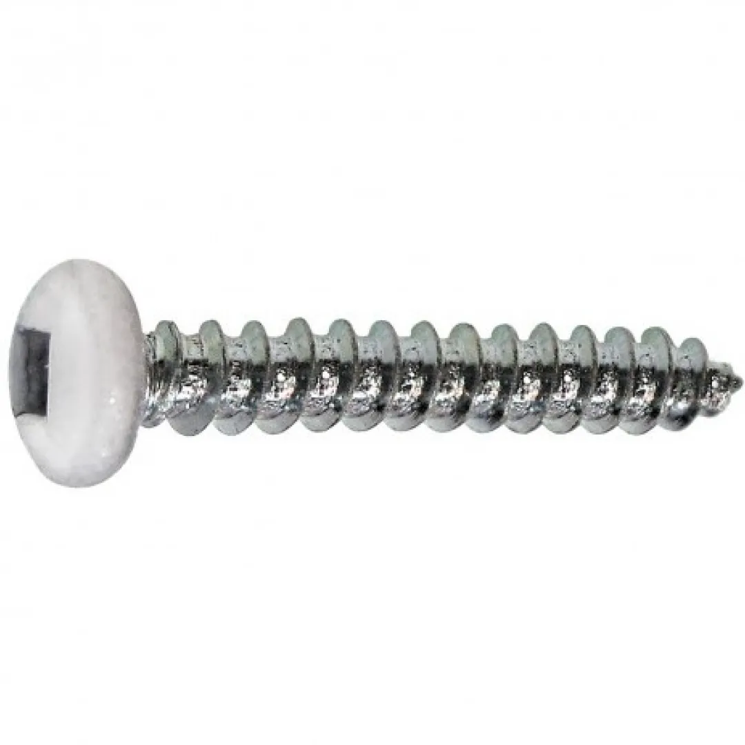 HPAULIN HPAULIN Round Head Socket SOFFIT Screw - White Head HPAULIN HPAULIN Round Head Socket SOFFIT Screw - White Head